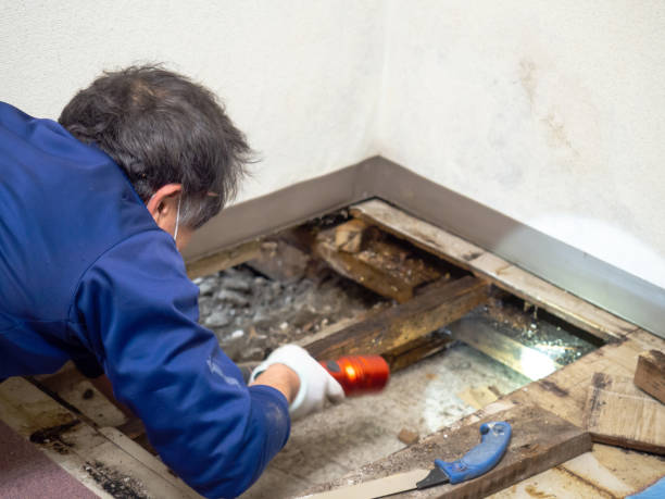 Best HVAC Mold Remediation in Kingston, RI