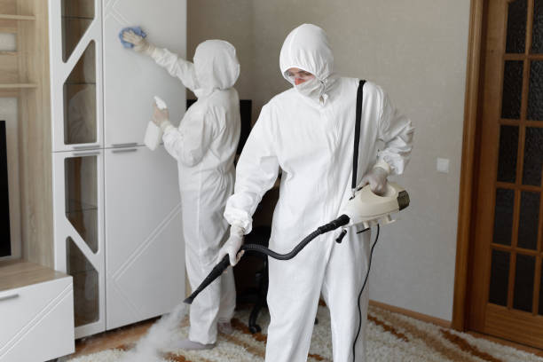 Best Post-Flood Mold Remediation in Kingston, RI