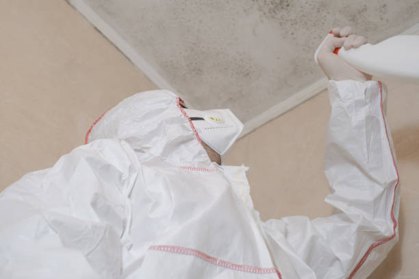 Best Post-Remediation Services in Kingston, RI