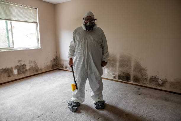 Best Commercial Mold Remediation in Kingston, RI